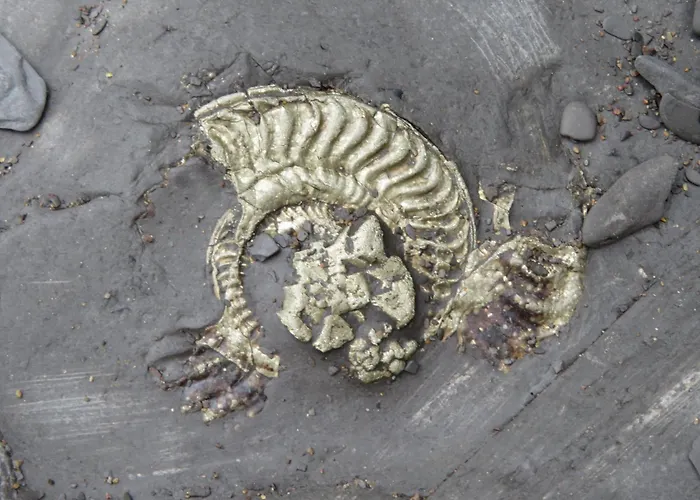 דירה The Cinder Track Hideaway