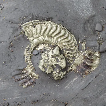 Apartment The Cinder Track Hideaway